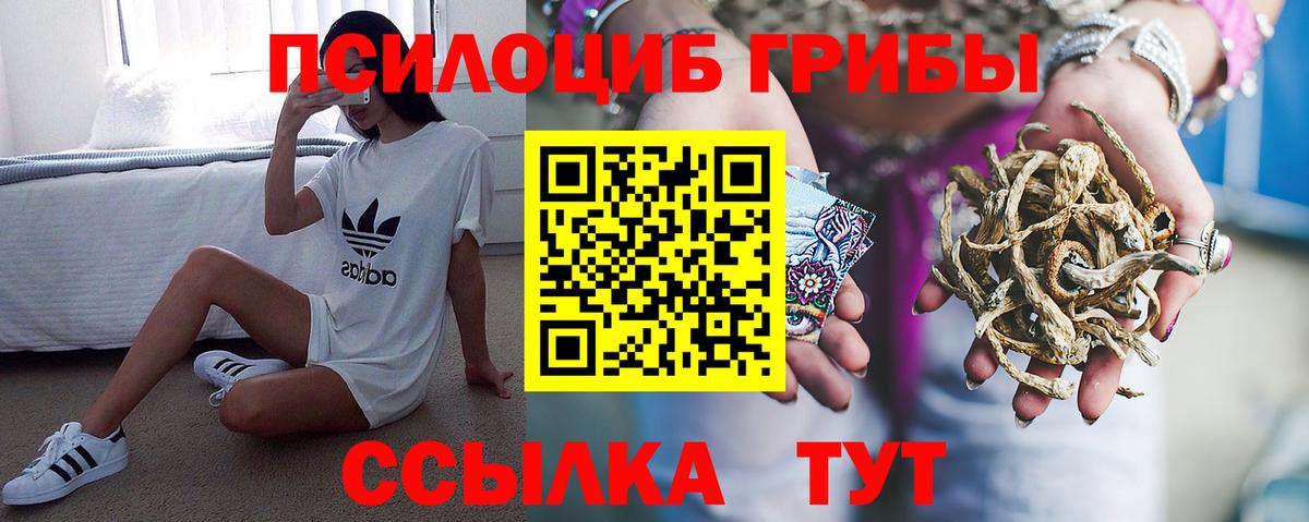 Галлюциногенные грибы GOLDEN TEACHER  Вход с VPN  Саратов 